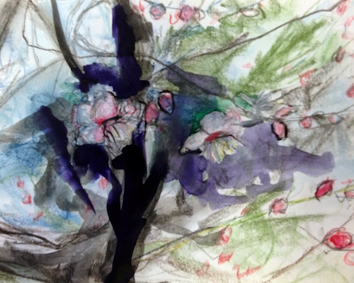 plum blossom study