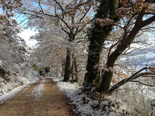 assisi art residency snow